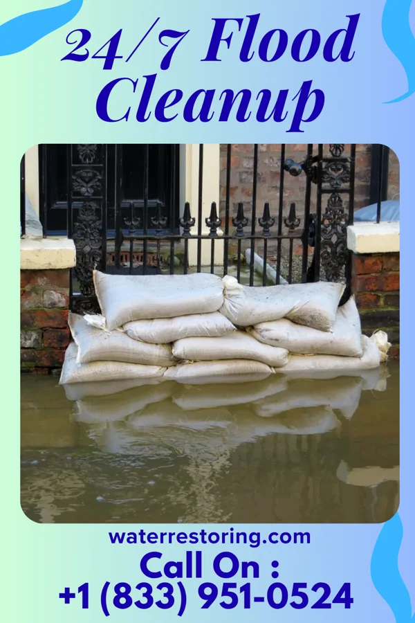 24/7 Flood Cleanup in Bluffs, IL