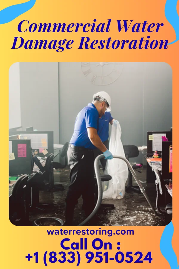 Commercial Water Damage Restoration in Bluffs, IL