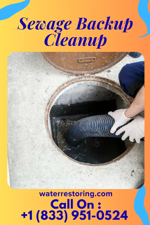 Sewage Backup Cleanup in Bluffs, IL